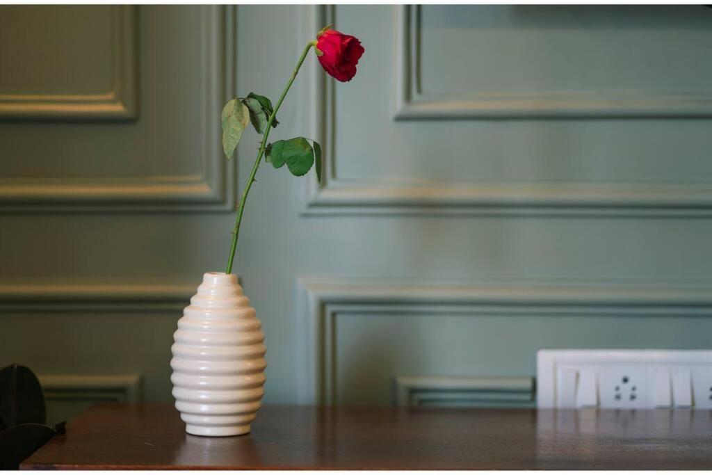 Umaid Heritage 3Bhk With Stunning View Jodhpur Jodhpur  Bagian luar foto